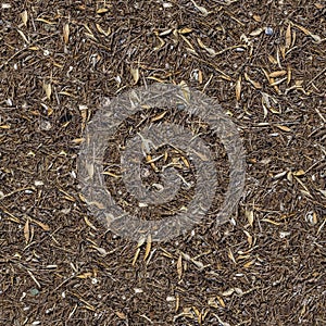 Seamless Texture of the Ground with Dry Herbs.