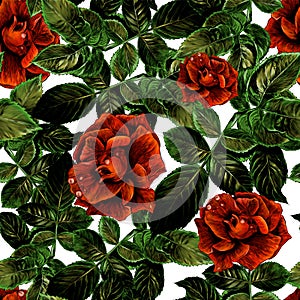 Seamless texture with image of rose with leaves