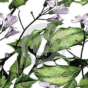 Seamless texture with the image of a twig with prickly leaves and purple flowers