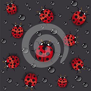 Seamless texture of ladybugs on dark background