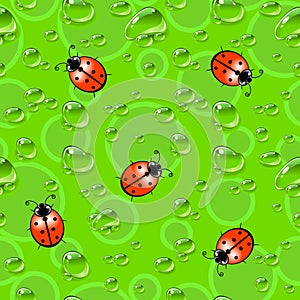 Seamless texture with ladybugs and dew drops.