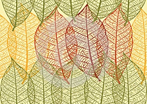 Seamless texture with leaves