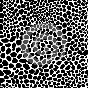 Seamless texture leopard gipard giraffe animal skin black and white