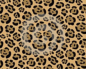 Seamless texture leopard pattern