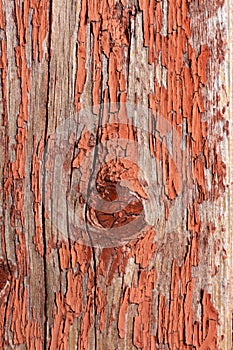 Seamless texture of old wood with cracks and pale red paint