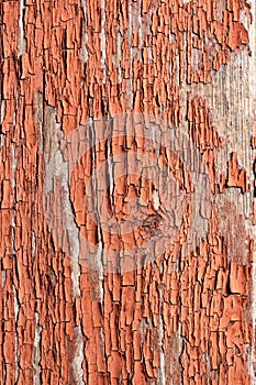 Seamless texture of old wood with cracks and pale red paint