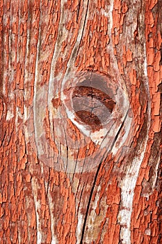 Seamless texture of old wood with cracks and pale red paint