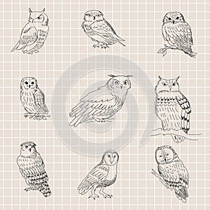 Seamless texture with painted owls on a background of a sheet of