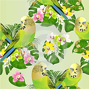Seamless texture Parakeets green Budgerigars home pets ,or budgie or shell parakeet  and Orchids cymbidium with tropical palm and