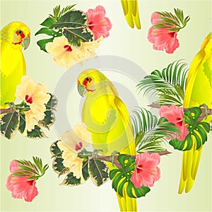 Seamless texture parrot in Yellow bird Indian Ringneck Parrot alexander in Yellow on branch with tropical flowers hibiscus, palm,