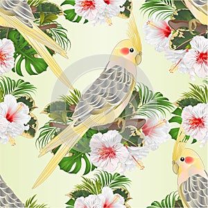 Seamless texture parrot yellow cockatiel cute tropical bird and white hibiscus watercolor style on a green background vintage ve