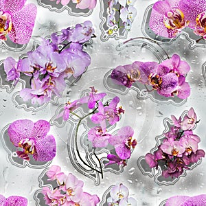 Seamless texture of Phalaenopsis orchid flowers and drops of wat