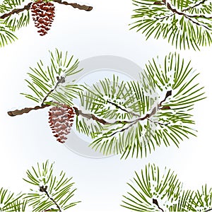 Seamless texture pine and pine cone branch winter snowy natural background vintage vector illustration editable