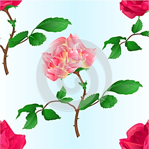 Seamless texture pink rose  with orange center  and red rose stem with leaves and blossoms watercolor on blue background vintage