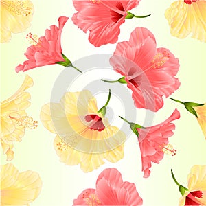 Seamless texture pink and yelow tropical plant hibiscus on a white background vintage vector illustration editable