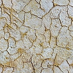 Seamless texture of plaster with cracks