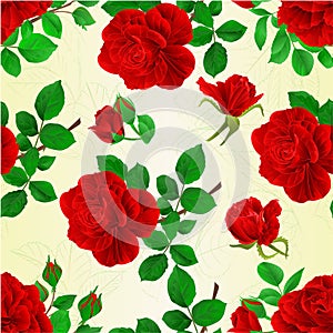 Seamless texture red roses with buds and leaves vintage fetive background vector illustration editable