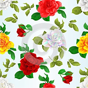 Seamless texture rose red pink white yellow colored and outline  with buds and leaves natural watercolor  vintage  on blue