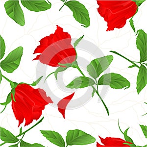 Seamless texture rosebud red rose vintage vector