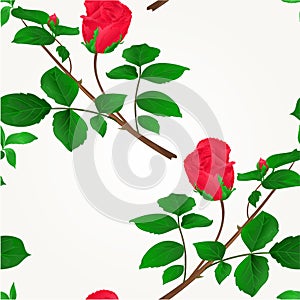 Seamless texture rosebud red stem with leaves and blossoms vintage vector