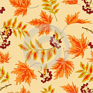 Seamless texture rowanberry and maple leaves autumn vector