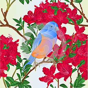 Seamless texture small bird songbirdon Bluebird  thrush and red rhododendron nature  background watercolor vintage vector
