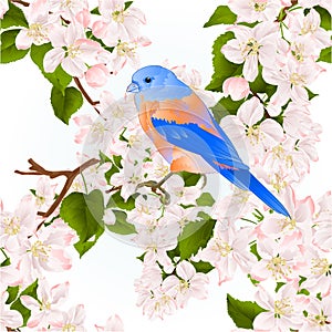 Seamless texture small bird thrush Bluebird on a apple tree with flowers vintage vector illustration editable