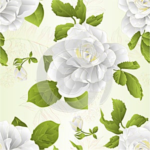Seamless texture stem flower white rose and leaves vintage natural background vector illustration editable