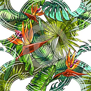 Seamless texture on the theme of the tropics, jungle from palm leaves, monstera, banana leaves, strelitzia and heliconia flowers