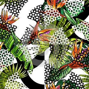 Seamless texture on the theme of the tropics, jungle from palm leaves, monstera, banana leaves, strelitzia and heliconia flowers