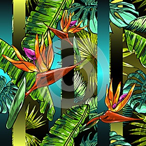 Seamless texture on the theme of the tropics, jungle from palm leaves, monstera, banana leaves, strelitzia and heliconia flowers.