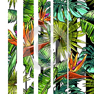 Seamless texture on the theme of the tropics, jungle from palm leaves, monstera, banana leaves, strelitzia and heliconia flowers.