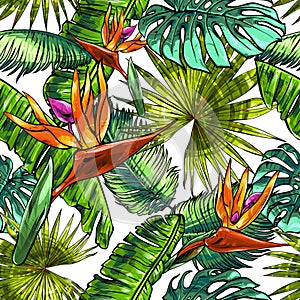 Seamless texture on the theme of the tropics, jungle from palm leaves, monstera, banana leaves, strelitzia and heliconia flowers