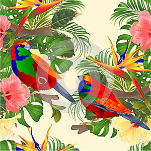 Seamless texture tropical birds Euplectes and tropical flowers pink and yellow hibiscus and Strelitzia palm,philodendron and fi