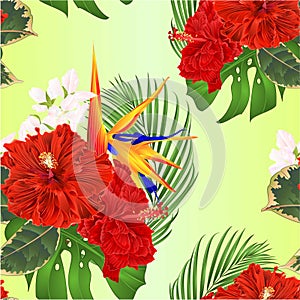 Seamless texture tropical flowers bouquet with  hibiscus and   Strelitzia reginae  palm monstera  watercolor vintage vector