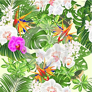 Seamless texture tropical flowers bouquet with Strelitzia reginae white and purple orchid Phalaenopsis palm monstera leaf bana