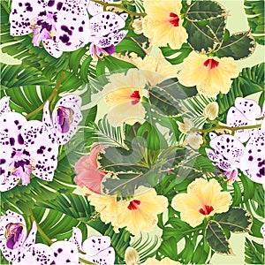 Seamless texture tropical flowers branch orchids dots purple and white Phalaenopsis and hibiscus with tropical leaves of banana