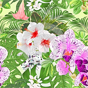 Seamless texture  tropical flowers  floral arrangement beautiful orchids Phalaenopsis  purple  white and white hibiscus  with