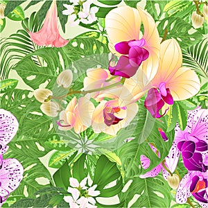 Seamless texture tropical flowers floral arrangement beautiful and yellow orchids Phalaenopsis purple and white with Scheff