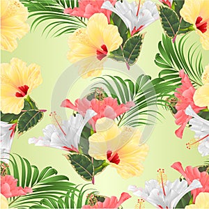 Seamless texture Tropical flowers  floral arrangement, with pink white and yellow hibiscus and  palm ficus  vintage vector