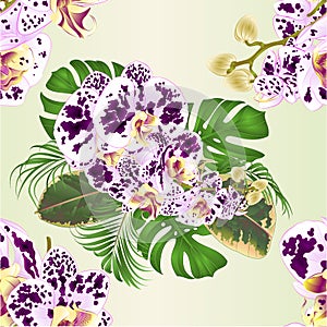 Seamless texture tropical flowers with orchids spotted Phalenopsis floral arrangement, with beautiful palm,philodendron and fi