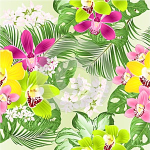 Seamless texture tropical Orchids Cymbidium green and purple yellow and pink flowers and Monstera and palm on a white backgroun