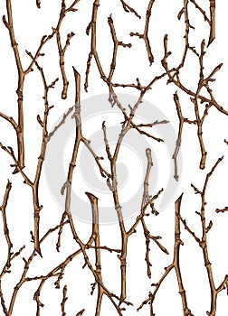 Seamless texture of twigs