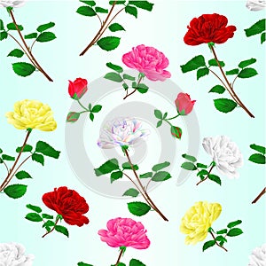 Seamless texture various  red pink white yellow rose stem with leaves natural watercolor vintage festive background vector