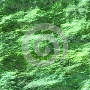Seamless texture of water with cyanobacteria
