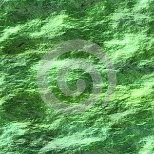 Seamless texture of water with cyanobacteria photo