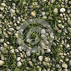 Seamless texture of wild grass, mixed with small stones scattered naturally