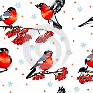 Seamless texture winter background birds on branches, bullfinches in flight