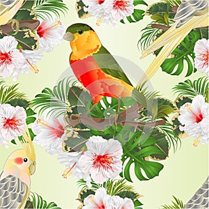 Seamless texture Yellow cockatiels cute tropical birds funny parrots and tropical bird and white hibiscus watercolor style on a g