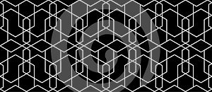 Seamless thin linear vector pattern. Abstract geometric background. Stylish fractal texture